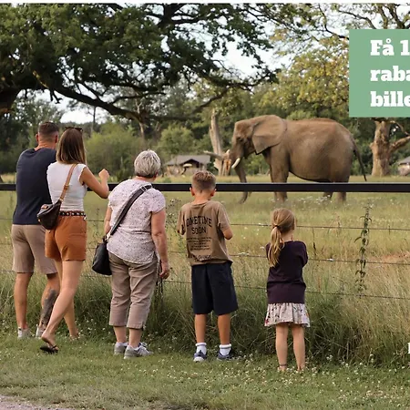 6 Person In 公寓 博雷